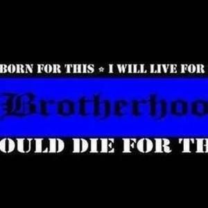 Meet your Posher, Dan